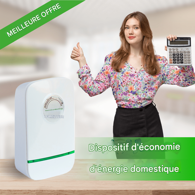 Économiseur d'énergie électrique